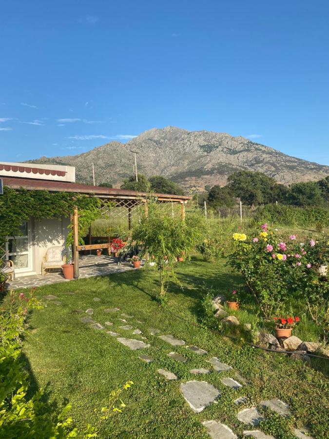 Samothraki - Sea, Mountain, Quiet Villa Kültér fotó